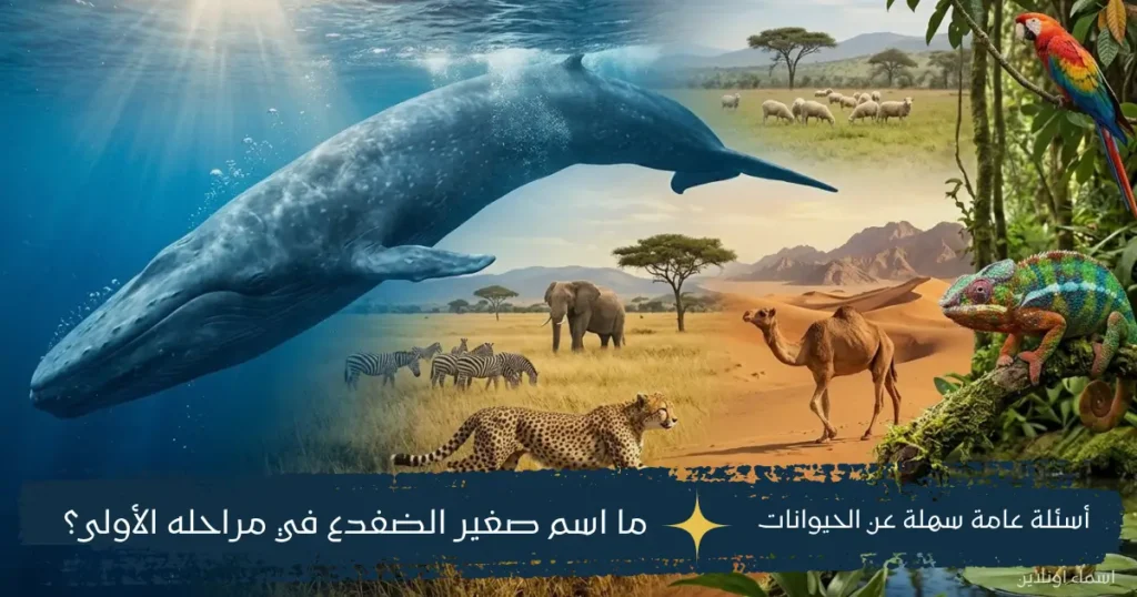 أسئلة عامة سهلة عن الحيوانات وأشهر صفاتها