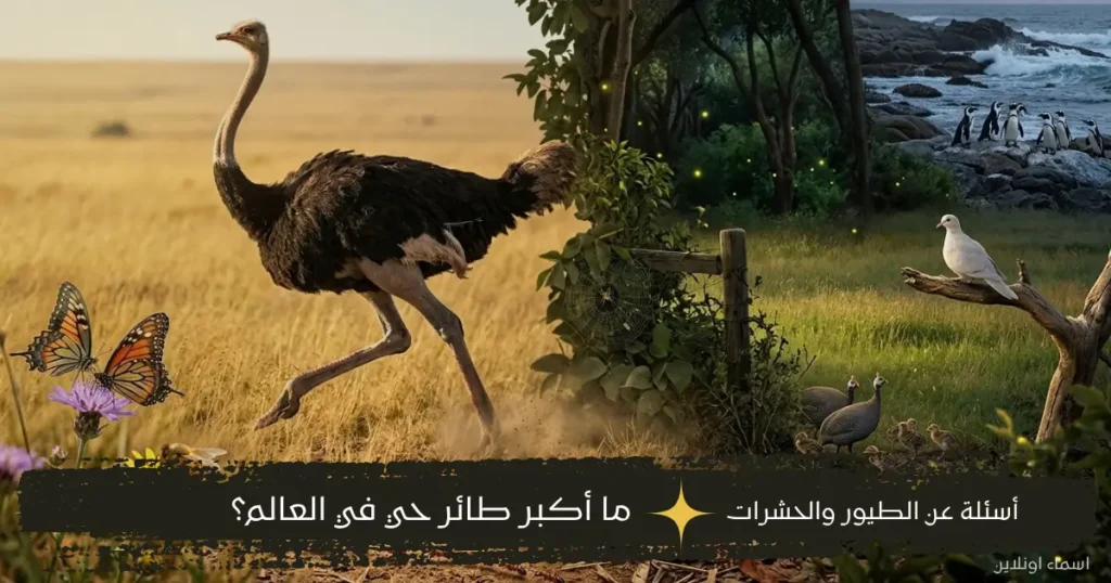 أسئلة عامة سهلة عن الطيور والحشرات ومعلومات ممتعة