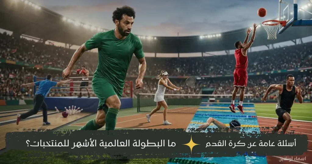 معلومات عن كرة القدم والسلة والتنس والسباحة والملاكمة